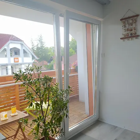 Apartment Nyarfa Vendeghaz *